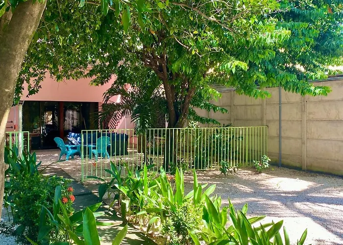 El Papagayo 5 Min Walk To The And Downtown Apartamento Coco